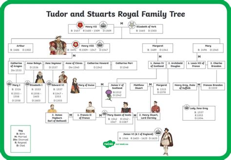 tudor and stuart family tree twinkl|tudor descendants today.